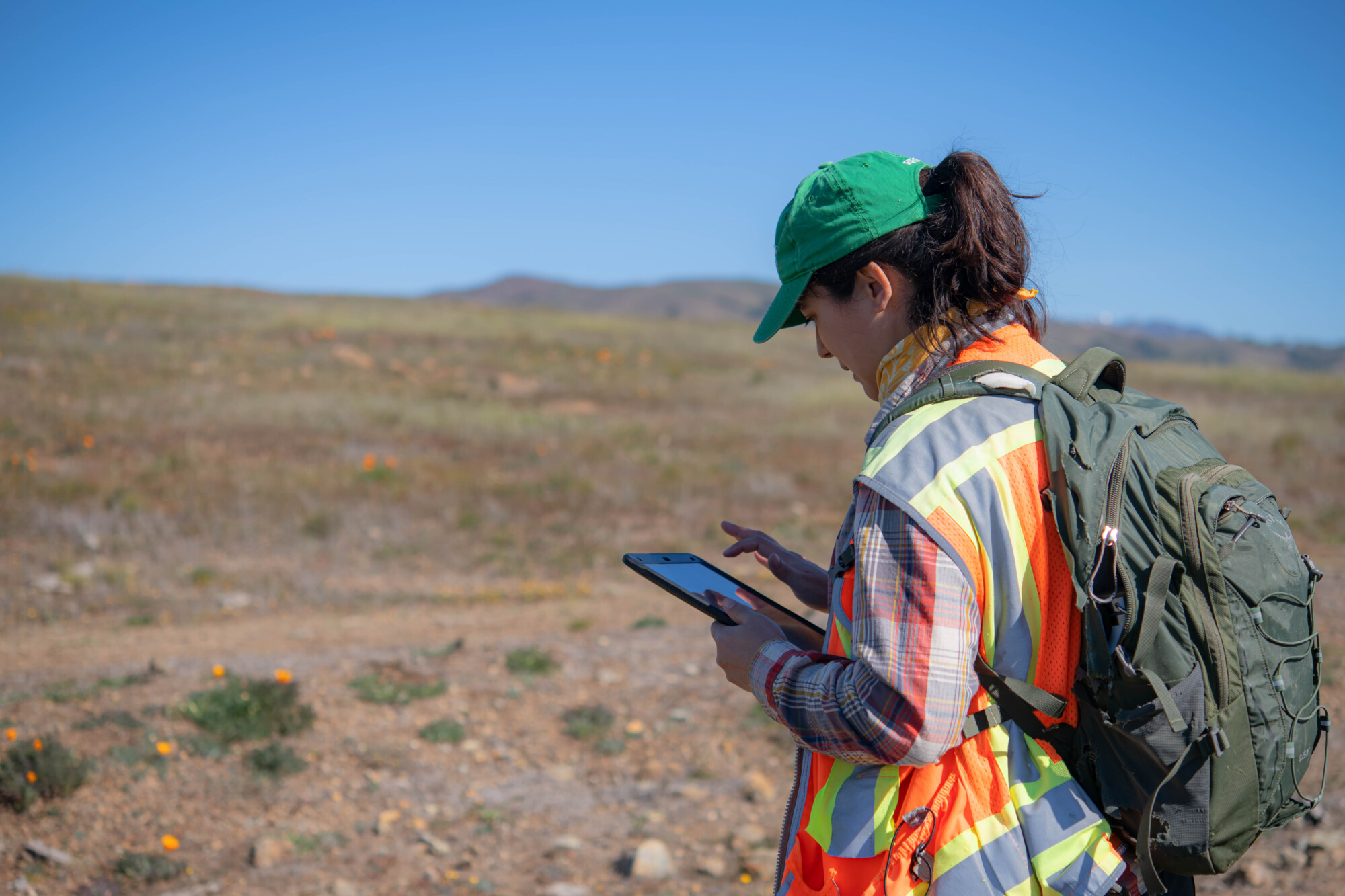 Rei taking data young ranch