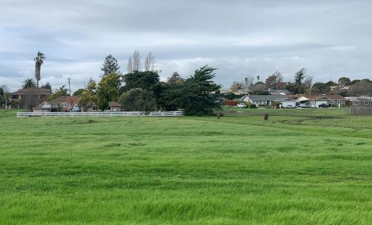 Picture of Napa Cove Apartments Project - WRA Environmental Consultants