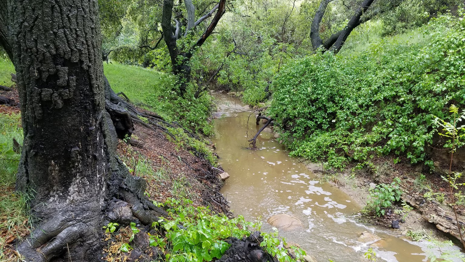 Soquel Canyon Mitigation Bank WRA Environmental Consultants