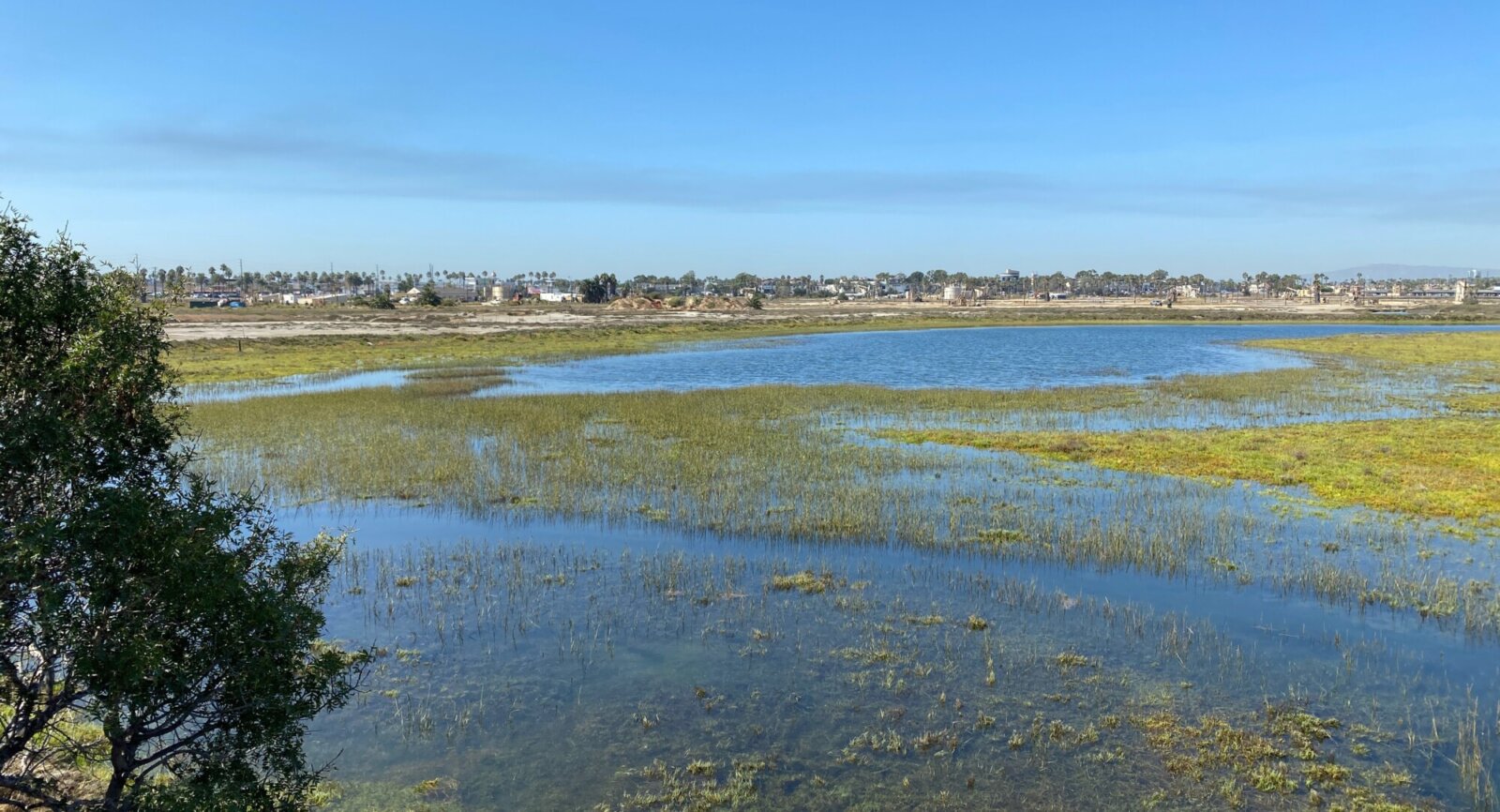 New Coastal Wetland Mitigation Bank Approved in Los Angeles County