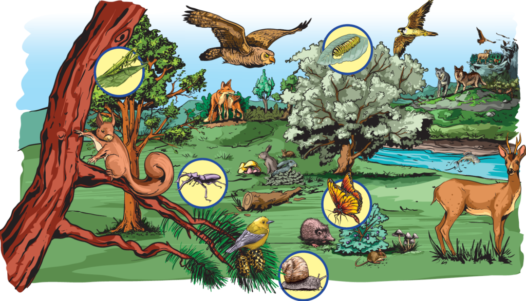 Biodiversity Engagement Zones